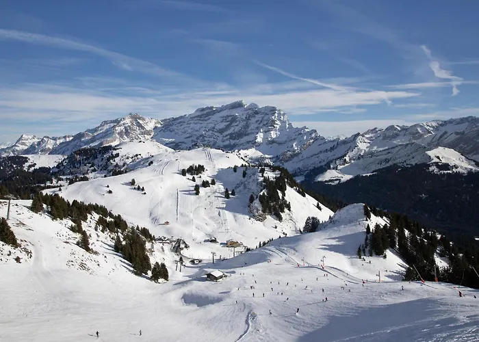 Le Bristol C32 By Interhome ヴィラール・シュル・オロン