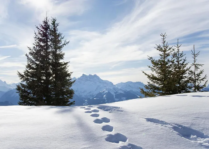 Apartman Le Bristol C32 By Interhome Villars-sur-Ollon