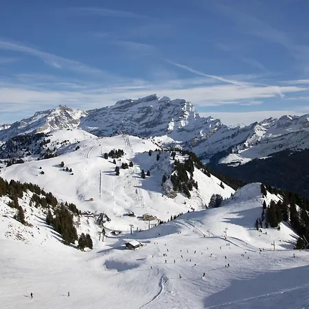 Le Bristol C32 By Interhome Villars-sur-Ollon