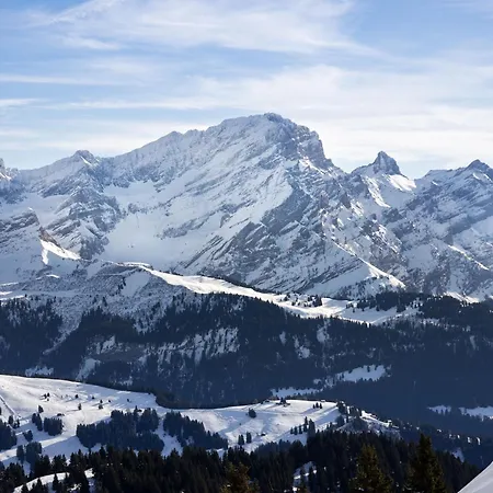 Le Bristol C32 By Interhome Apartmán Villars-sur-Ollon