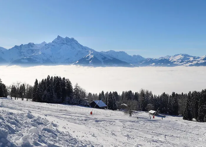 Le Bristol C32 By Interhome