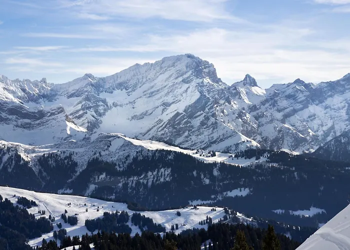 Le Bristol C32 By Interhome Apartmán Villars-sur-Ollon